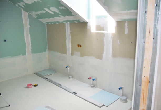 North Wantagh, NY Mold Removal Company