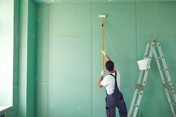 Best Mold Removal for HVAC Installations  in North Wantagh, NY