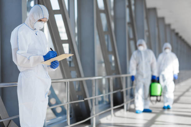 Best Indoor Air Quality Assessment  in North Wantagh, NY