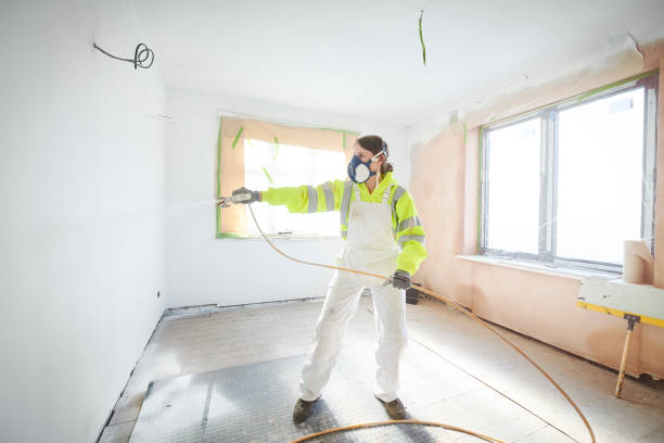 Best Environmental Consulting for Mold Prevention  in North Wantagh, NY