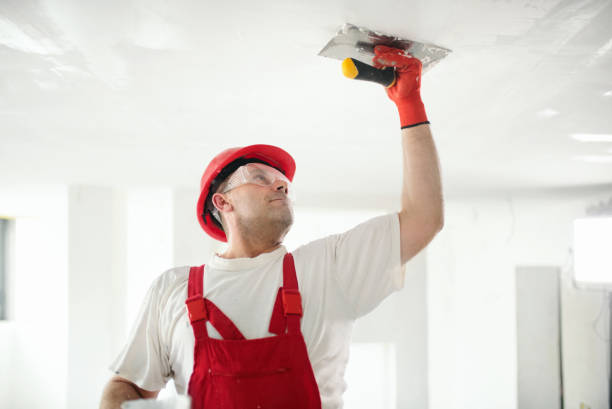 Best Mold Documentation for Insurance Claims  in North Wantagh, NY