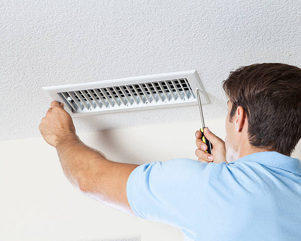 Best Attic Mold Removal  in North Wantagh, NY