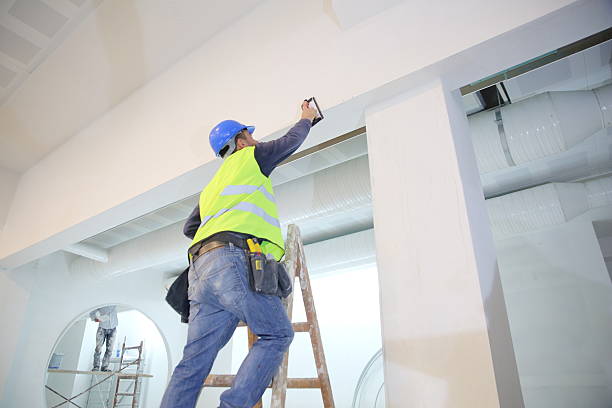 Best Mold Odor Removal Services  in North Wantagh, NY