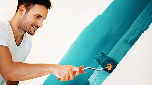 Best Mold Damage Restoration  in North Wantagh, NY