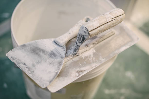 Best Mold Prevention Services  in North Wantagh, NY
